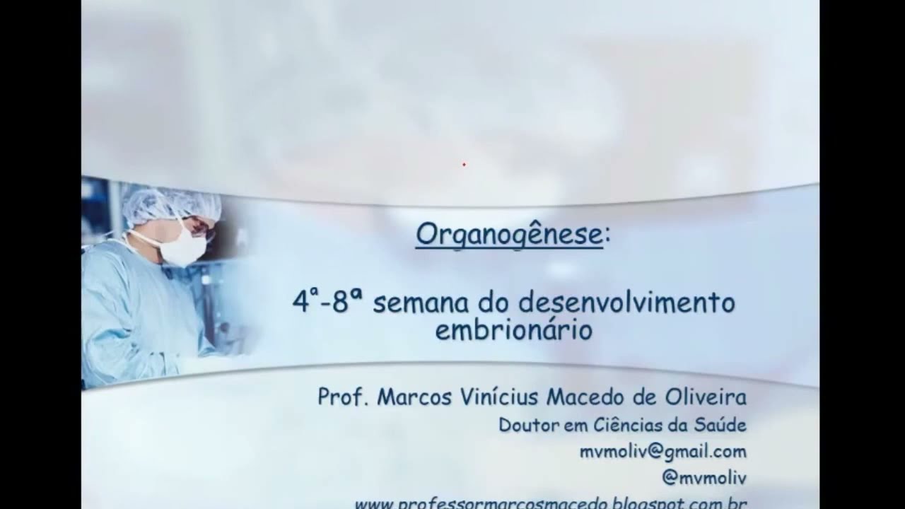 Aula Embriologia | Dobramento e Organogênese - Parte 1 de 2