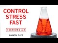 How to Control Stress in Real-Time | Huberman Lab Quantal Clip