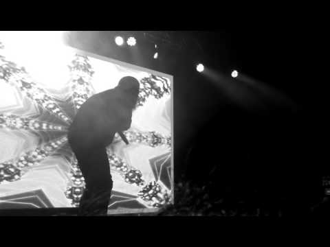 Flatbush zombies r.i.p.c.d.