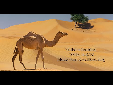 Whisnu Santika - Yalla Habibi ( Maxx Van Goed Bootleg )