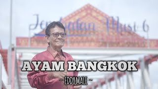 Download lagu AYAM BANGKOK - EDDY MALE (New Song) Cipt : Eddy Male ( LAGU SUMATERA SELATAN , PALEMBANG) mp3