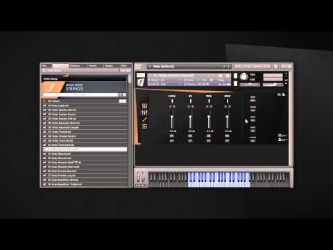 CAPSULE Tutorial Series 2: Mixing Array
