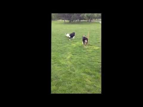 Najla s palickou provokuje Bastiena a Ariel