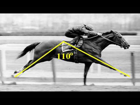 download lagu mp3 mp4 Man O War Vs Secretariat, download lagu Man O War Vs Secretariat gratis, unduh video klip Man O War Vs Secretariat