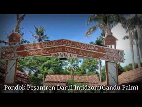 darroel intidzom:)  ko.Gandu kec.sindang jaya kab.tangerang Banten