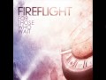 New Perspective - Fireflight