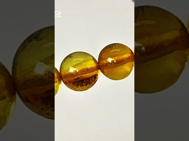 قوافل سبحة كهرمان بلطيقي طبيعي محشر من النوادر Namb0229