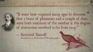 Math in the Brain: Number Sense