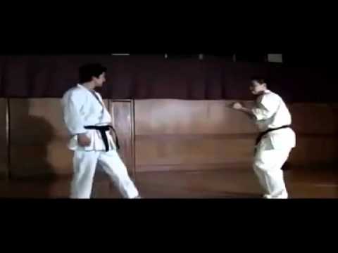 Karate Shotokan Storm