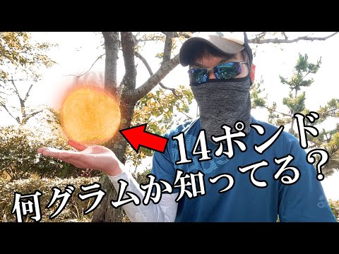 ポンド (質量単位)について詳しく解説