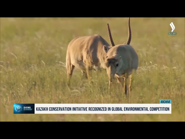 Kazakh conservation initiative recognized in global environmental competition