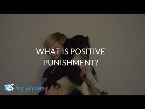What Is Positive Punishment