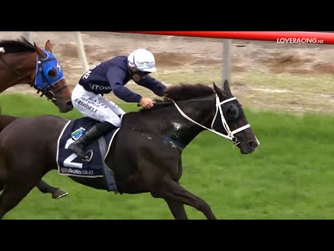 Colorado Star takes out the Listed Matamata Veterinary Services Kaimai Stakes