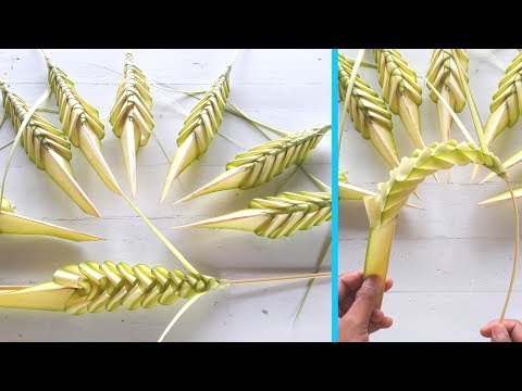 download lagu mp3 mp4 Tutorial Kerajinan Tangan Dari Janur, download lagu Tutorial Kerajinan Tangan Dari Janur gratis, unduh video klip Tutorial Kerajinan Tangan Dari Janur
