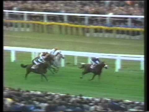 1976 St. Leger Stakes