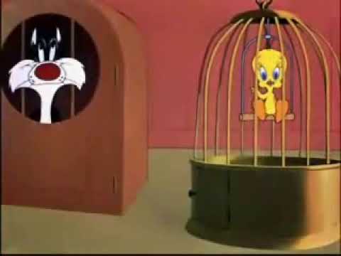 Meme eu acho quê eu vi um gatinho (Piu piu)