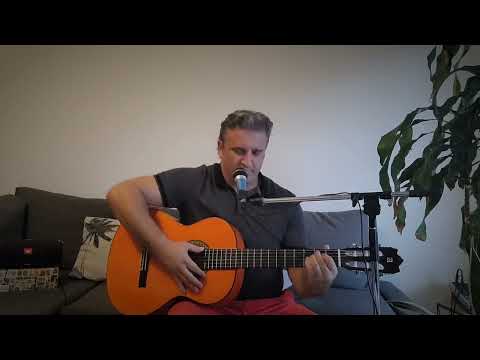 Bird's Teardrops (Estas Tonne feat. Peia) - Guitare flamenco