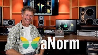 TC Electronic - aNorm: Adaptive Loudness Processing and Metering
