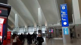 海外投資 専門家 アメリカ LA