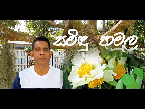 Samindu Pamula | Victor Rathnayaka Best Songs Collection | Cover Rajeev Siriwardena