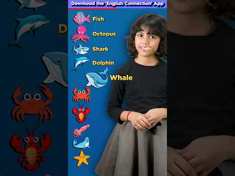10 Sea Animals🐬 For Kids, English Words & Vocabulary, Learn with Adi, Adi Connection #shorts