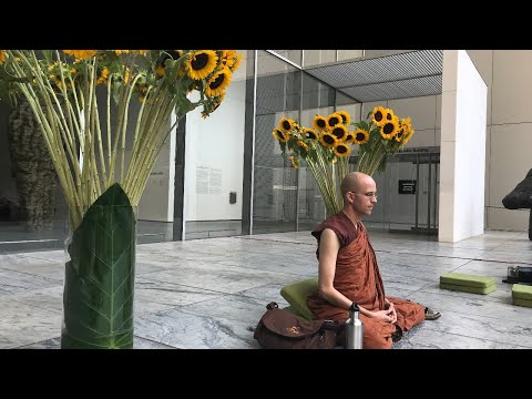 Vipassana Retreat 2/3 - Afternoon Talk