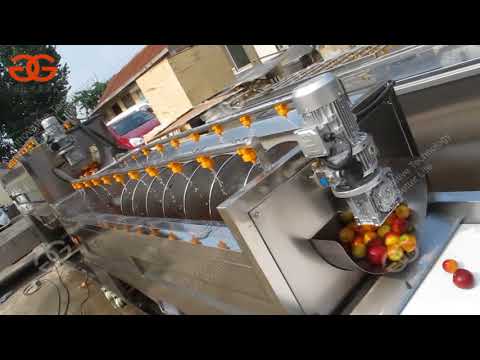 , title : 'Automatic Fruit Juice Processing Plant Manufacturer Cost'