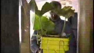 Bill's Big Pumpkins Trailer 1