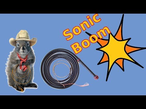 Sonic  BOOM - Bullwhips break the Sound Barrier !