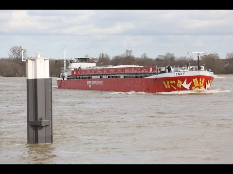 Kultur öffnet Welten - WEBINAR #1: Kulturprojekte digitalisieren! Aber wie?