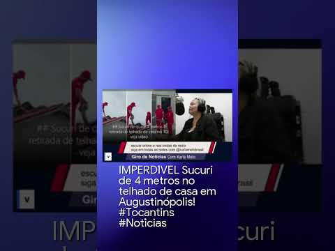 IMPERDÍVEL Sucuri de 4 metros no telhado de casa em Augustinópolis!
