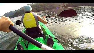 preview picture of video 'Aventura Kayak - Explorando Lago Dos Bocas, Puerto Rico'