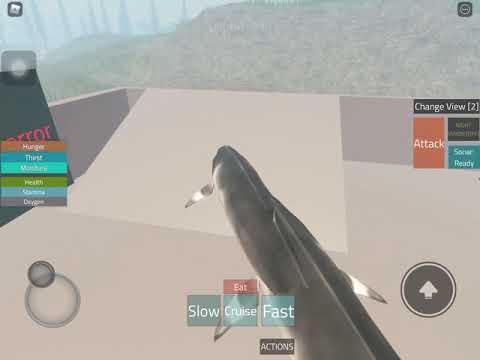 HoloCene Mobile Whale walks on Land Glitch Trick [Guide][[Tuitorial]