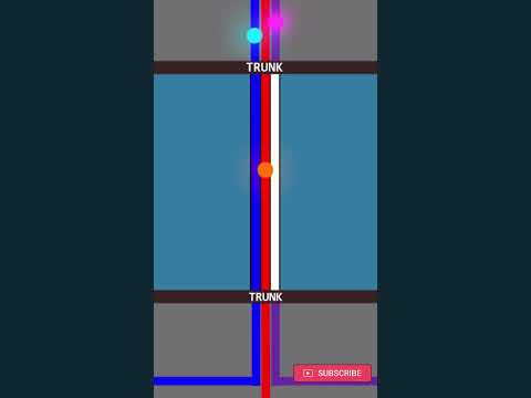 Access Port Vs Trunk Port Simplified || VLAN Tagging And Untagging