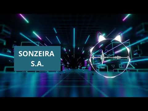 Top 14 minutes. the  Best of sonzeira S.A.    The Best of All Time  2023.