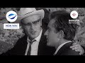 I Teti Në Bronx The Bronze Bust 1970 Full Action Movie