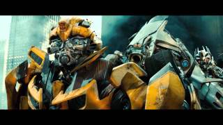 Bumblebee Tribute