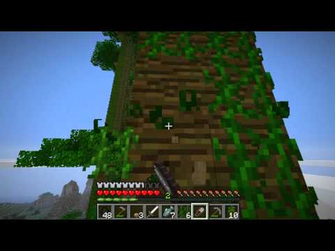 TeamGadge - Minecraft Jungle Biome Survival Ep.9 HD