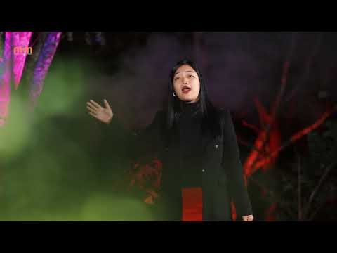 SAILO LALSANGZUALI - LAL DAVIDA KHAWPUI (OFFICIAL)