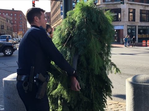 Man dressed as tree arrested for blocking traffic in Maine
