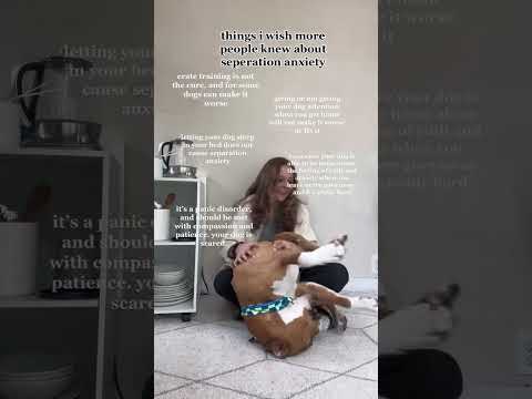 Dogs With Separation Anxiety
