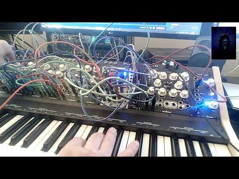 setting up vermona 4 voice NiftyKEYZ