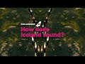 Iceland Airwaves 2020 Live From Reykjavík How Does Iceland Sound Icelandair