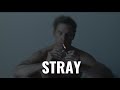 Calexico - Stray // True Detective