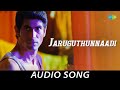 Jaruguthunnaadi Audio Song Krishnam Vande Jagadgurum Rana Daggubati Nayantara Mani Sharma