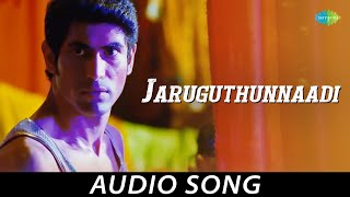 Jaruguthunnaadi - Audio Song  Krishnam Vande Jagad