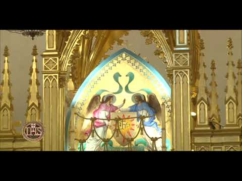 Holy Mass on Sunday, June 14, 2020 - The Solemnity of Corpus Christi - on EWTN