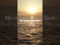The colours of the rising and setting sun are reflected in the surface of the water#sunset #shorts