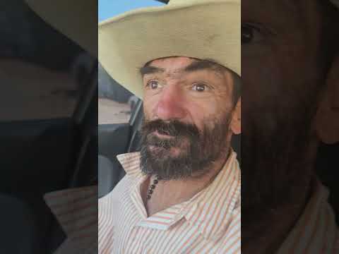 anda en modo TAZO DORADO!!!!!