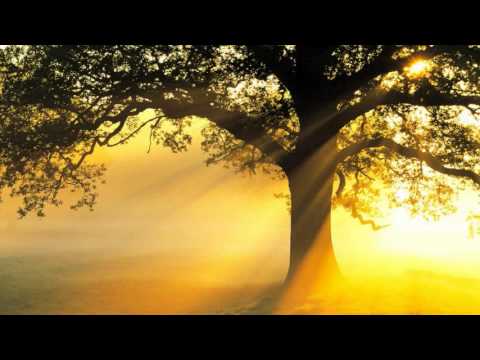 SynSUN - Ambient Sun